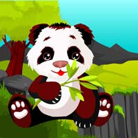 Free online html5 games - forest polar bear escape game 