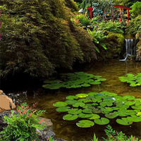 Free online html5 games - EscapeGames3 forest frog game 