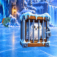 Free online html5 escape games - Big Snowy Owl Escape