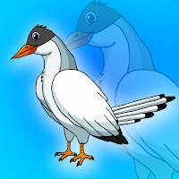 Free online html5 games - G2J Arctic Tern Rescue game - Games2rule 