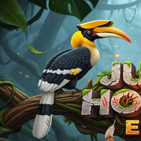 Free online html5 escape games - Jungle Hornbill Escape