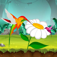 Free online html5 games - Peaceful Birds Forest Escape game 