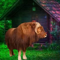 Free online html5 games -  Musk Ox Forest Escape HTML5 game - Games2rule 
