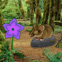 Free online html5 games - HOG Hidden Green Forest game - Games2rule 