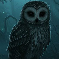 G4K Shadowy Owl Escape