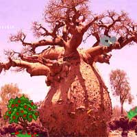 Free online html5 games - Escape Seedling Afforest game 