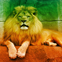 Free online html5 games - Wowescape Escape from African Zoo game - Games2rule 