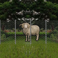 Free online html5 games - Nature Village Sheep Rescue game 