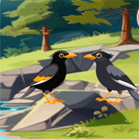 Free online html5 escape games - Hills Explorer Escape