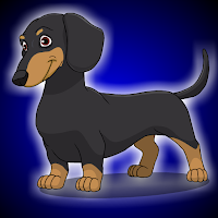 Free online html5 games - G2J Polite Dachshund Dog Escape game 