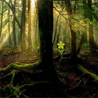 Free online html5 games - Mountain Forest Treasure Escape game - Games2rule 