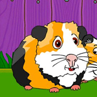 Free online html5 games - G2J Guinea Pig Family Escape game - Games2rule 