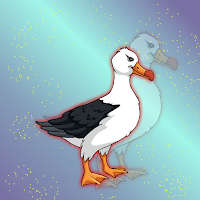 Free online html5 games - FG Cute Albatross Escape game 