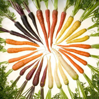 Free online html5 games - Carrot Plantation Escape HTML5 game 