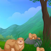 Free online html5 escape games - Explorer Boy House Escape