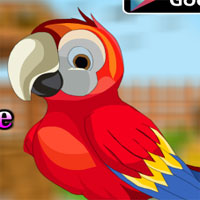 Free online html5 games - AvmGames Cute Parrot Escape game 