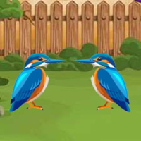 Free online html5 escape games - G2L Kingfisher Rescue Escape
