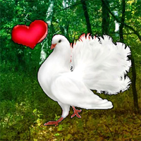 Free online html5 games - Wow Love Pigeon Forest Escape game 