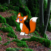 Free online html5 games - Hidden Forest Escape game - Games2rule 