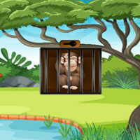 Free online html5 escape games - Curious Monkey Rescue