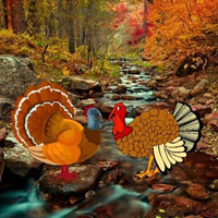 Free online html5 games - Turkey Pair Escape HTML5 game - Games2rule 