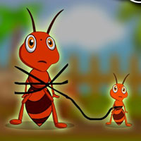 Free online html5 games - G2J Release The Red Ant game 
