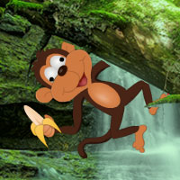 Free online html5 games - Wow Mad Monkey Forest Escape game 