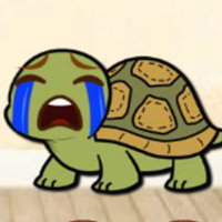 8B Find the Old Tortoise