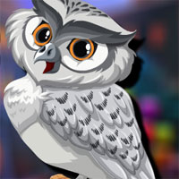 Free online html5 games - Avm Elf Owl Escape game 