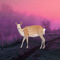Free online html5 games - Pink Deer Lake Escape HTML5 game 