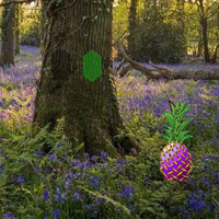 Free online html5 games - Spring Bluebells Forest Escape game 