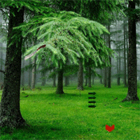 Free online html5 games - FunEscapeGames Cloud Forest Fun Escape game 