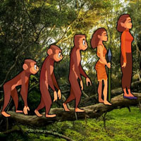 Free online html5 games - Human Evolution Escape HTML5 game 