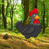 Free online html5 games - Find The Black Rooster Pair HTML5 game - Games2rule 