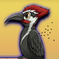 Free online html5 games - G2J Wild Woodpecker Escape game - Games2rule 