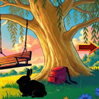 Free online html5 escape games - Squirrel Prison Escape