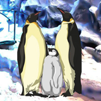 Winter Penguin Family Escape