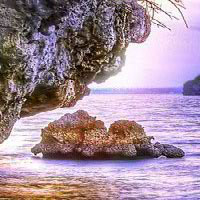 Free online html5 games - Wonder Island Escape game - Games2rule 