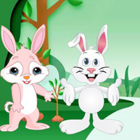 Free online html5 games - Find The Buddy Rabbit HTML5 game 