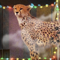 Free online html5 games - Enigmatic Circus game 