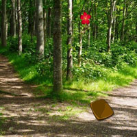 Free online html5 games - Rescue The Snake From Tunnel Forest HTML5 game - Games2rule 