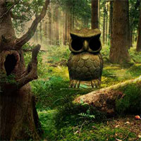 Free online html5 games - AvmGames Raccoon Escape game 