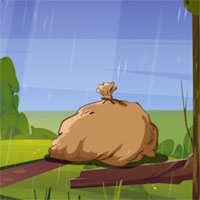 Free online html5 escape games - G2L Fox Freedom Escape