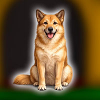 Free online html5 escape games - Help the Chinook Dog Escape
