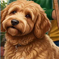 Free online html5 escape games - Happy Tails Home