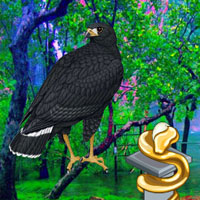 Free online html5 games - Escape Game Save the Black Hawk Wowescape game - Games2rule 