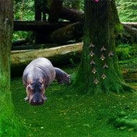 Free online html5 games - WowEscape Hippo Jungle Escape game 