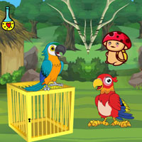 Free online html5 escape games - BIG Release Trapped Macaw Buddy
