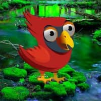 Free online html5 games - Red Angry Bird Escape HTML5 game 