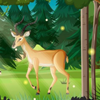 Free online html5 games - G2M Free the Raccoon game 